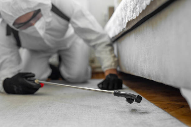 Professional Pest Control technician working in Mower County County, MN